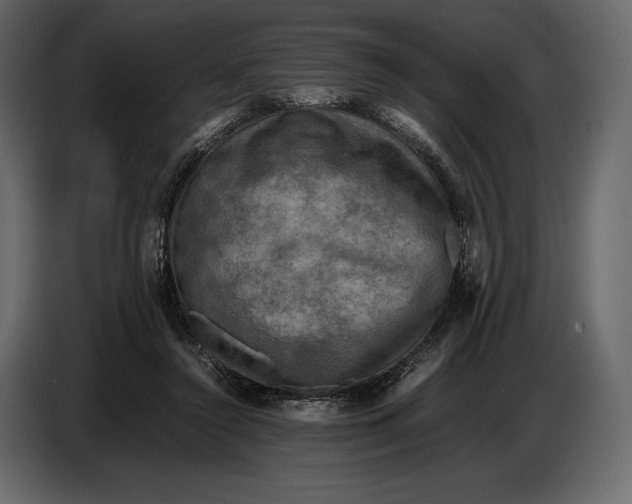 X0000087010356200705071530