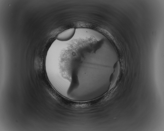 X0000087010357200705071530