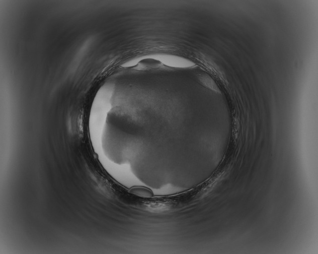 X0000087010358200705071530