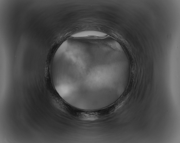 X0000087010359200705071530