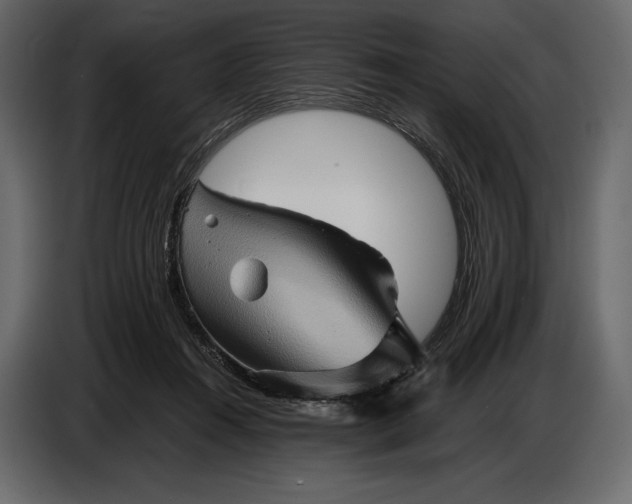 X0000087010360200705071530