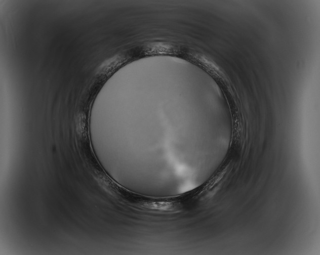 X0000087010361200705071530