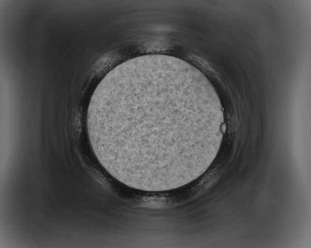 X0000087010362200705071530