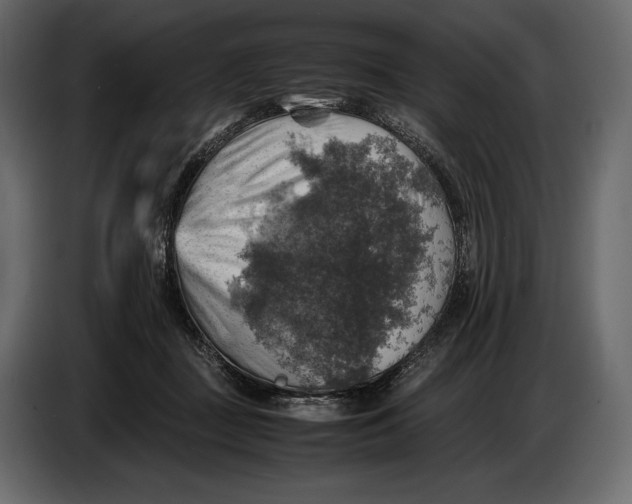 X0000087010363200705071530