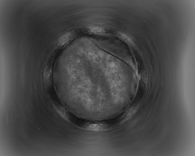 X0000087010364200705071530