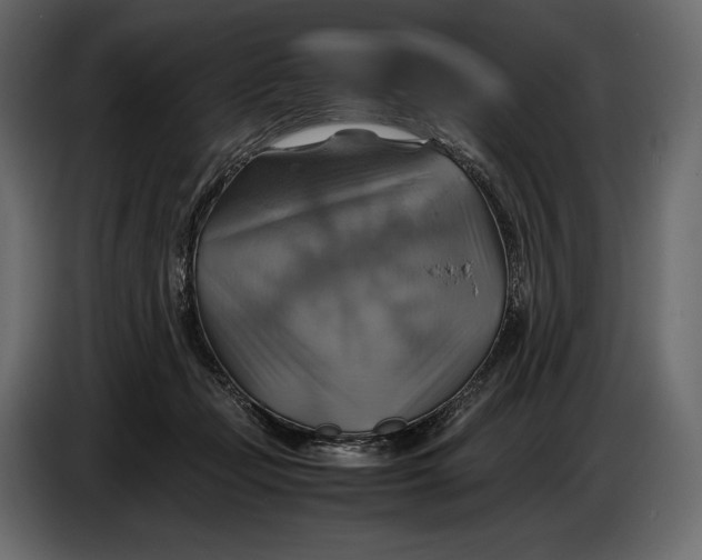 X0000087010365200705071530