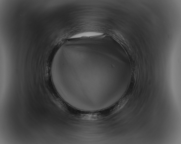 X0000087010366200705071530