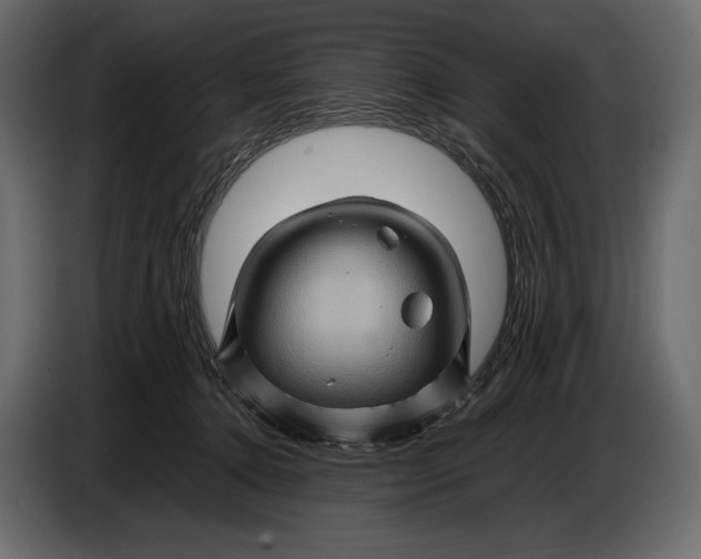 X0000087010368200705071530