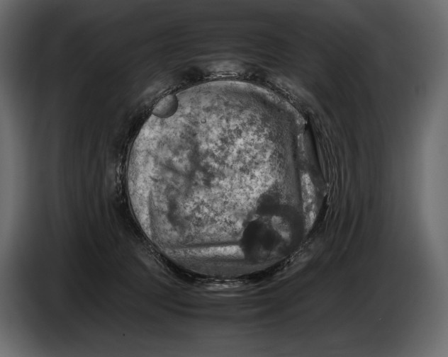 X0000087010369200705071530