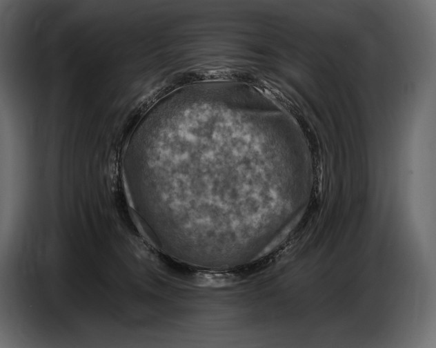 X0000087010372200705071531