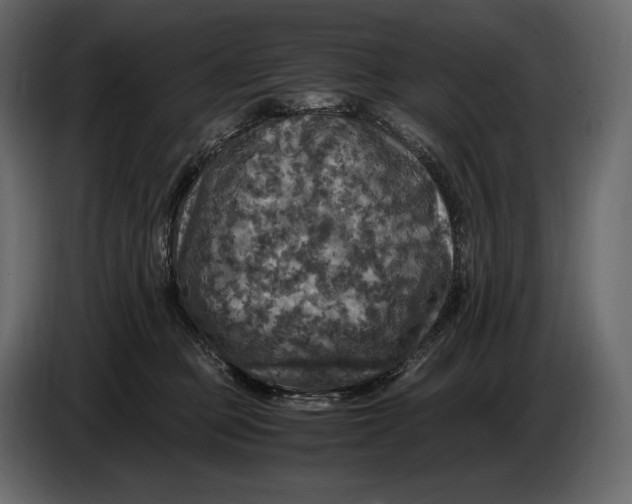 X0000087010373200705071531