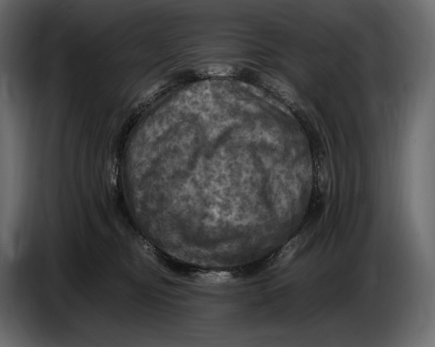 X0000087010374200705071531