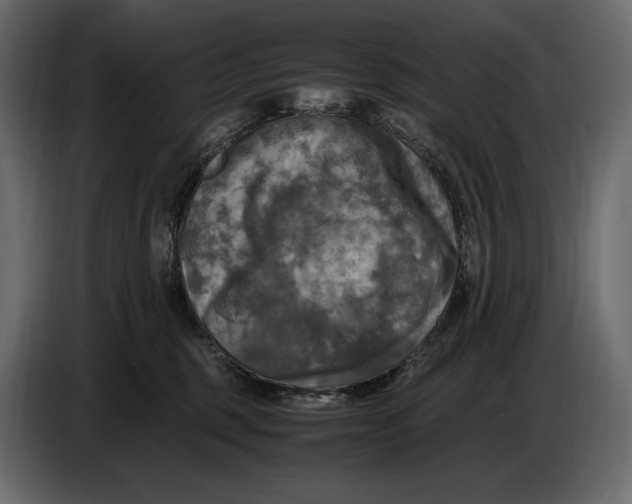 X0000087010375200705071531