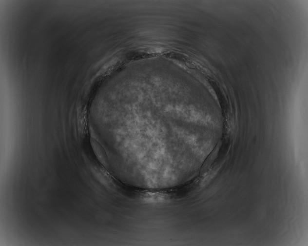 X0000087010376200705071531