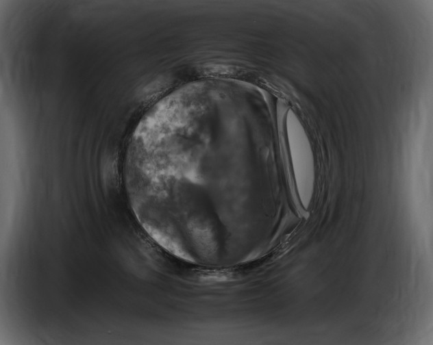 X0000087010377200705071531