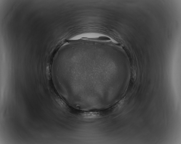 X0000087010378200705071531