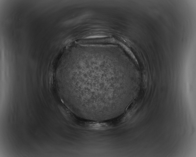 X0000087010379200705071531