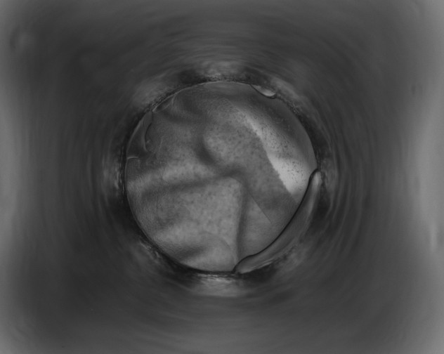 X0000087010380200705071531