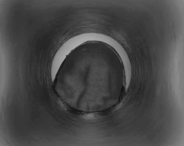 X0000087010382200705071531