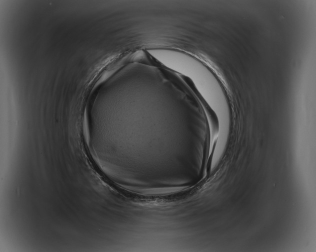 X0000087010385200705071530