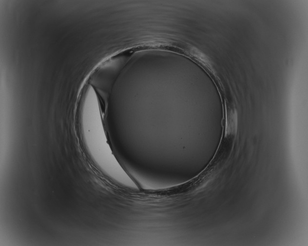 X0000087010387200705071530