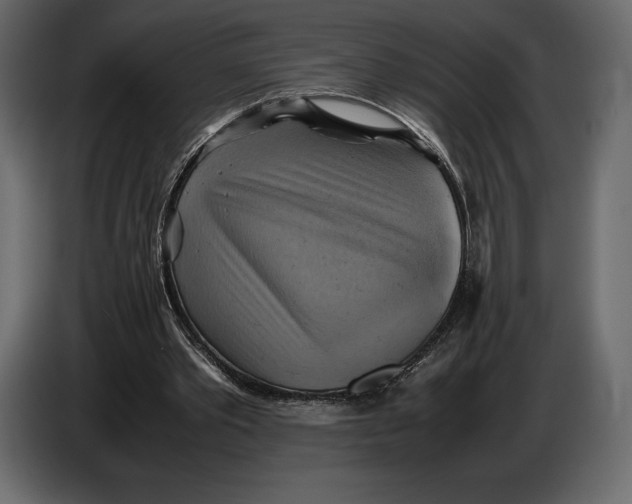 X0000087010389200705071530