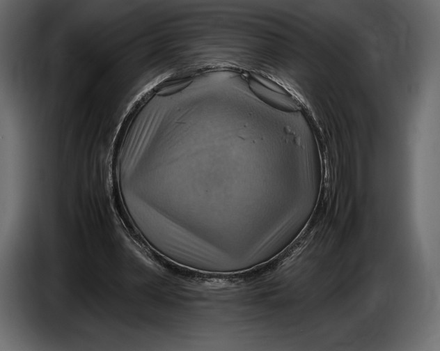 X0000087010390200705071530