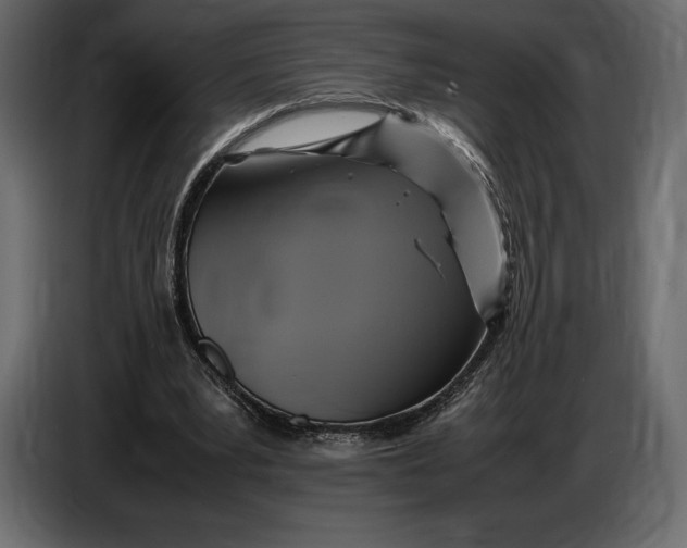 X0000087010391200705071530