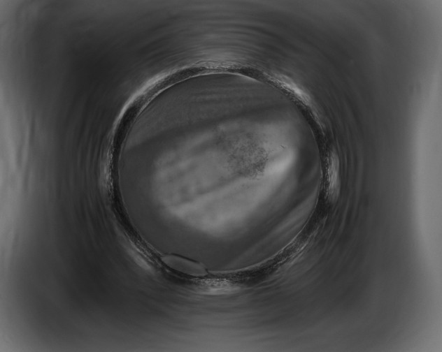 X0000087010392200705071530