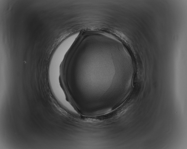 X0000087010393200705071530