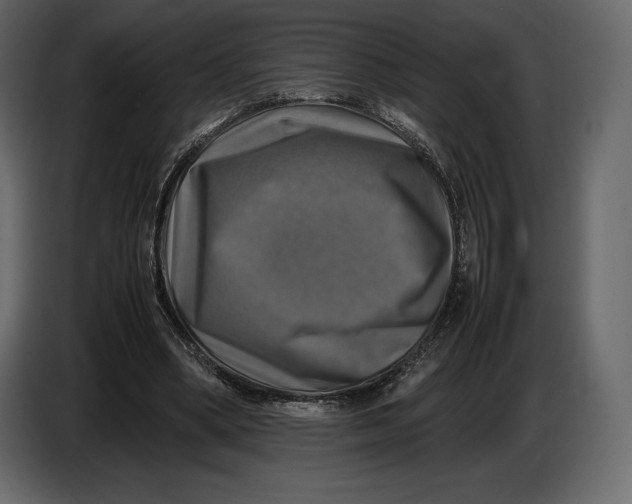 X0000087010394200705071530