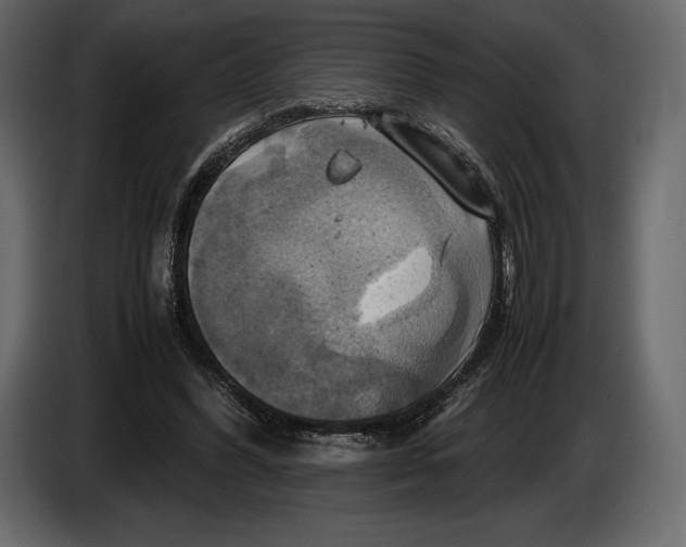 X0000087010396200705071530