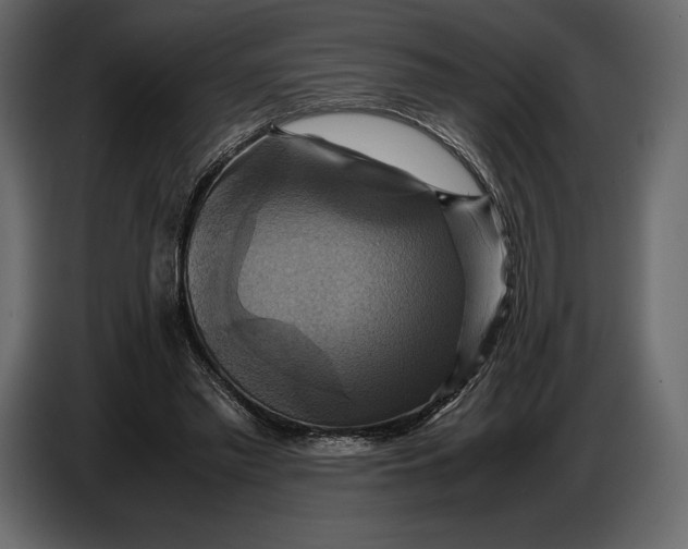 X0000087010397200705071530