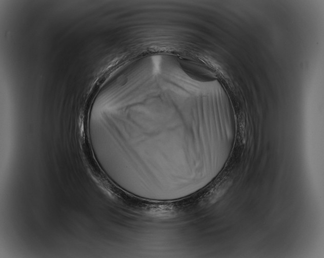 X0000087010398200705071530