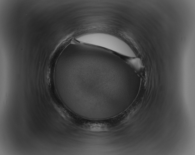 X0000087010400200705071530