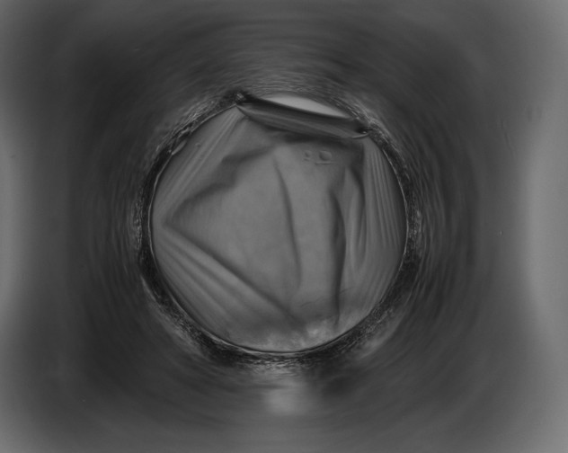 X0000087010402200705071530