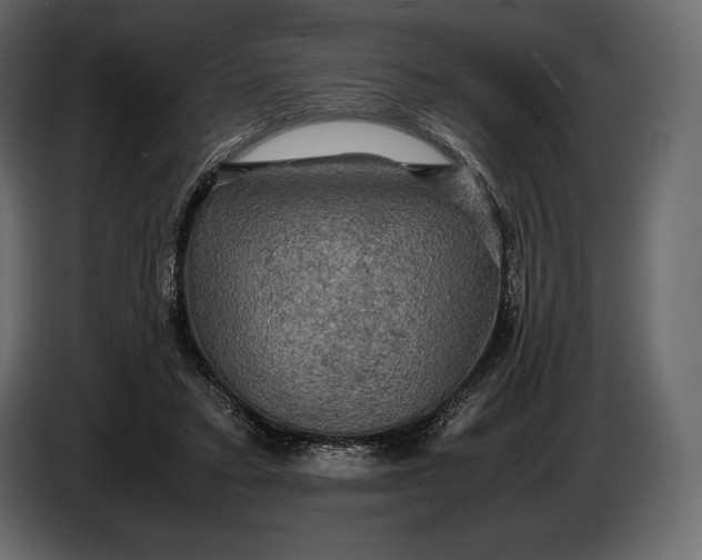 X0000087010403200705071530