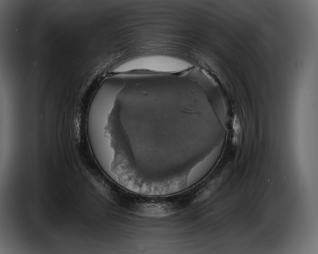 X0000087010404200705071530