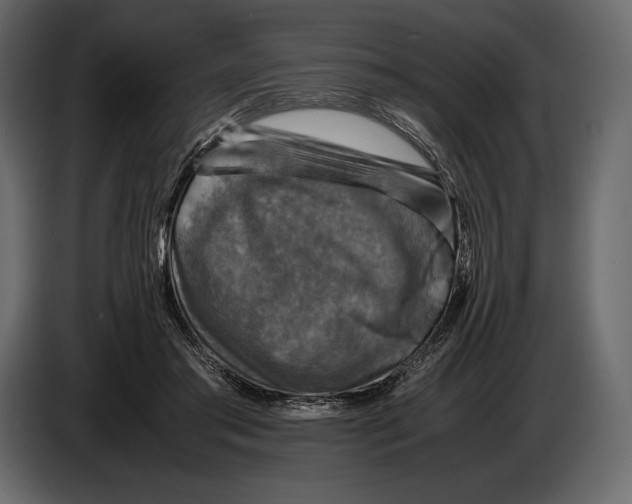 X0000087010405200705071530