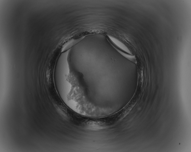 X0000087010408200705071530