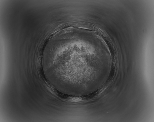 X0000087010409200705071530