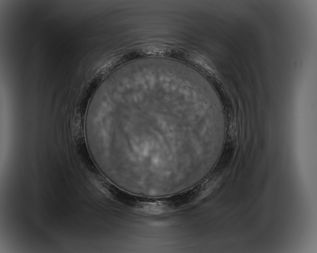 X0000087010411200705071530