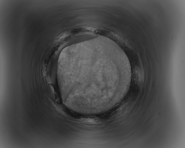 X0000087010412200705071530