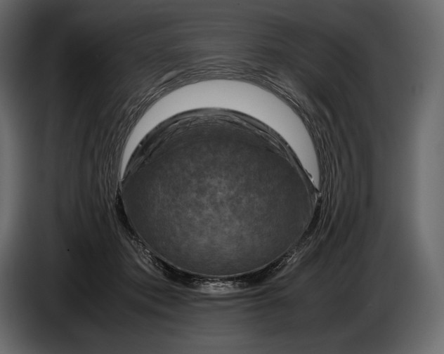 X0000087010413200705071530