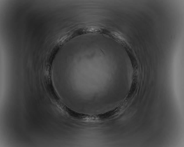 X0000087010415200705071530