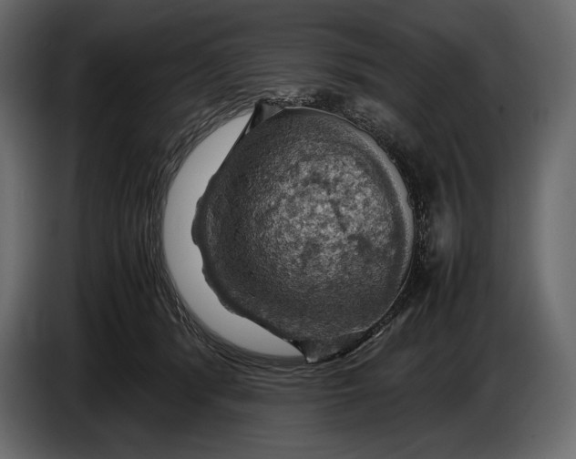 X0000087010416200705071530