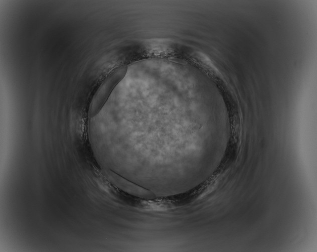 X0000087010417200705071530