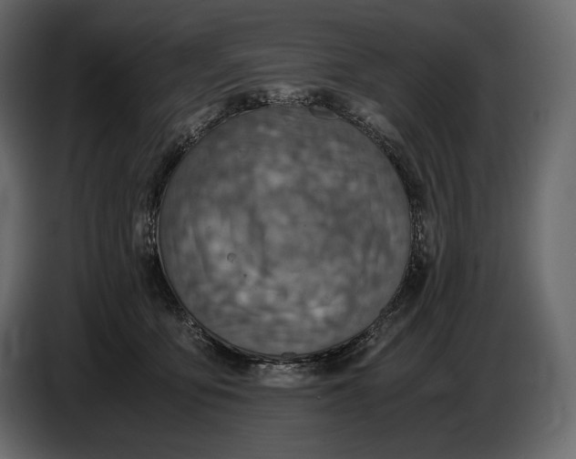 X0000087010419200705071530