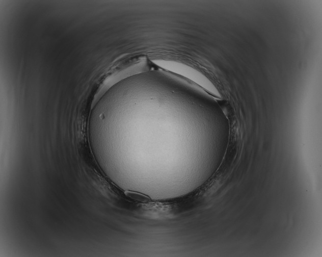 X0000087010421200705071530