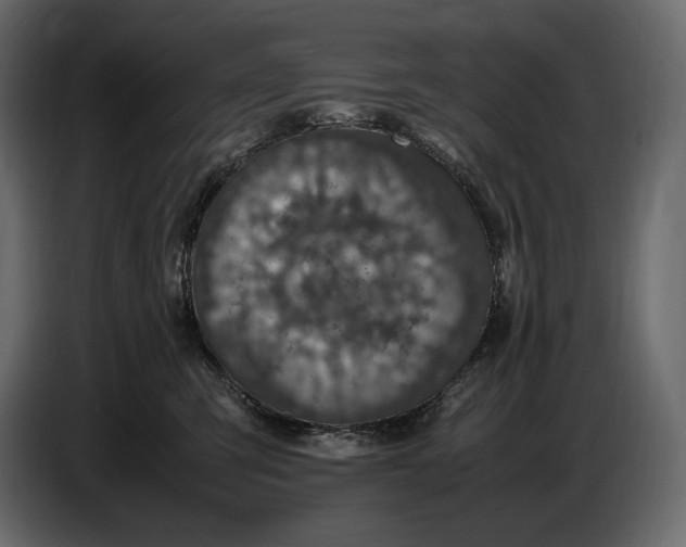 X0000087010423200705071530